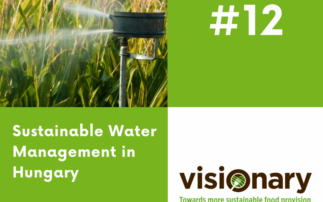 A hónap SPI-je: Fenntartható vízgazdálkodás Magyarországon